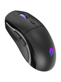 GAMEBOOSTER M11 Dire RGB Aydınlatmalı Siyah Profesyonel Gaming Mouse